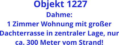 Objekt 1227 Dahme:  1 Zimmer Wohnung mit großer Dachterrasse in zentraler Lage, nur ca. 300 Meter vom Strand!